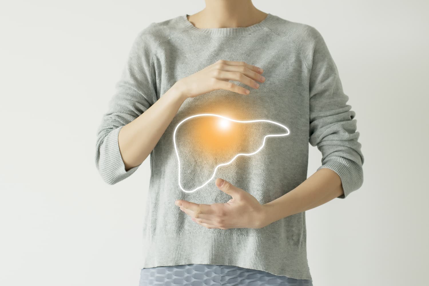 An outline of a woman's liver to highlight where it resides in the body