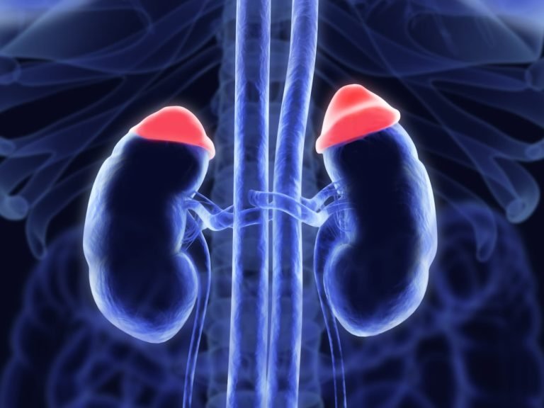 Adrenal Tumours Causes & Treatment Birmingham HPB Clinic